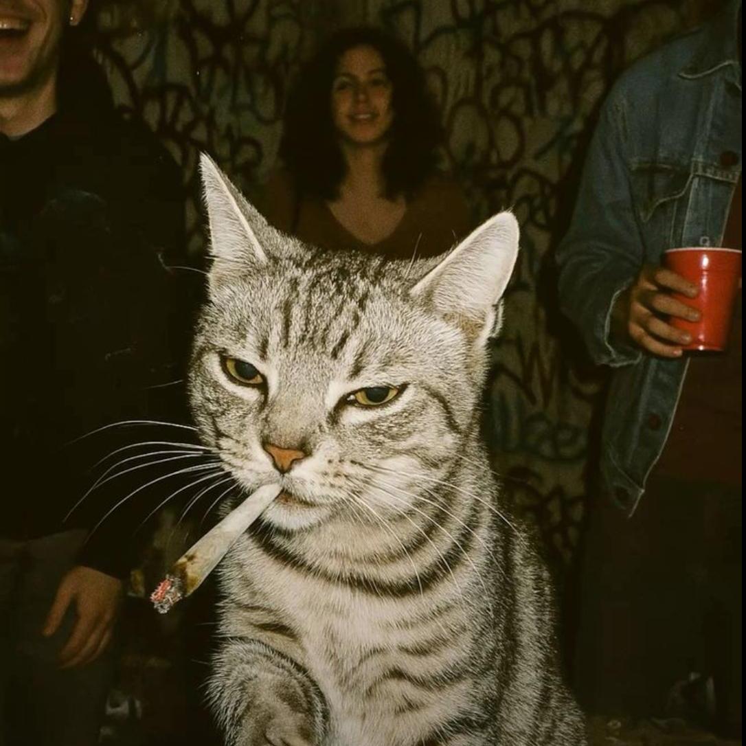 Meti